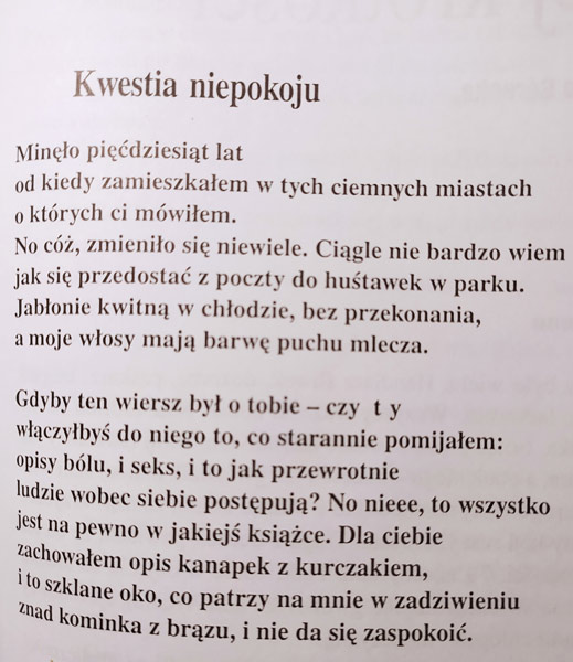 kwestiaNiepokojuAshbery.jpg